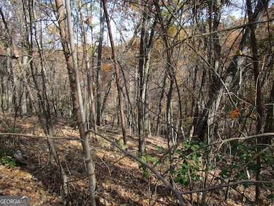 136 Lakeview Way, Baldwin, GA 30511 - photo 5