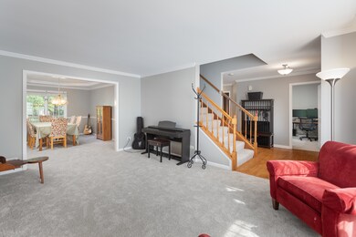 4420 Buttermilk Ct, Naperville, IL 60564 - photo 6