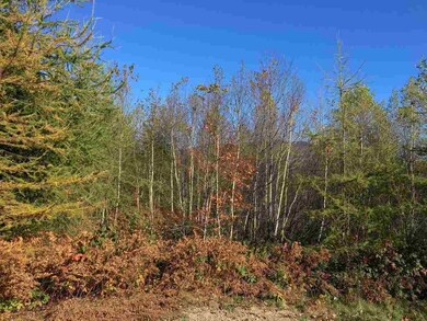 47 Crystal unit Map 1, Lot3, Jefferson, NH 03583 - photo 7