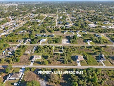 820 Casper Yost St E, Lehigh Acres, FL 33974 - photo 4