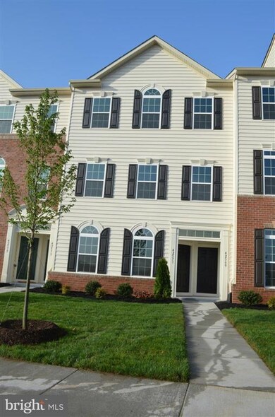 24598 Johnson Oak Terrace, Chantilly, VA 20152 - photo 3