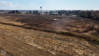 1262 Main St, Knobel, AR 72435 - photo 7