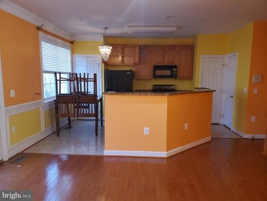 13536 Davinci Ln unit 52, Herndon, VA 20171 - photo 5