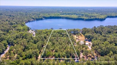 11 Frank Jones Rd, Crawfordville, FL 32327 - photo 4