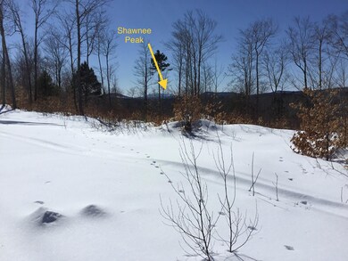 View of Pleasant Mountain in 2019