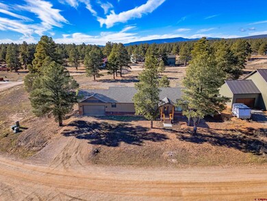 207 Domicile Cir, Pagosa Springs, CO 81147 - photo 7