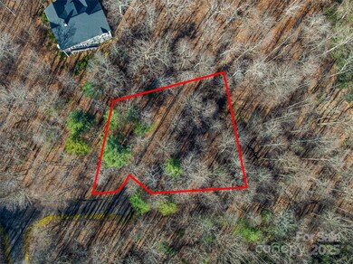 TBD Ladys Fern Trail unit 10, Laurel Park, NC 28739 - photo 3