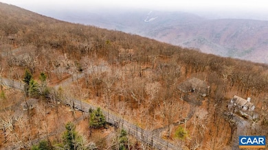 559 Laurel Springs Dr unit PRYOR CAMP II 24, Roseland, VA 22967 - photo 6