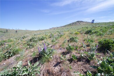 0 Lot 58 Methow River Ranch unit 1121373, Methow, WA 98834 - photo 3