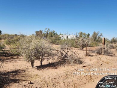 View of local wilderness