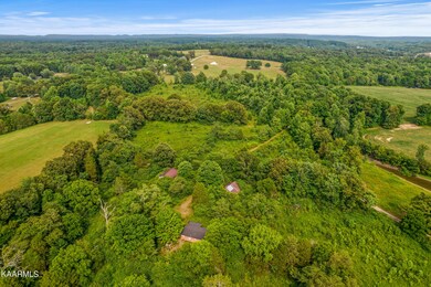 mls-210 Holloway Ln_0680