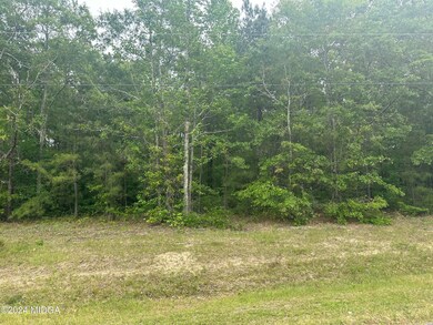 0 Griswoldville Shortcut unit 174880, Macon, GA 31211 - photo 4