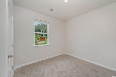 460 Harvest Ridge Way unit Lot 341- Sullivan A, Bucksport, SC 29527 - photo 7