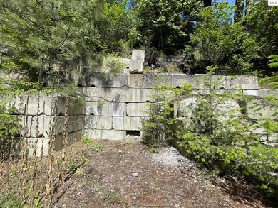 NNA Talache Rd, Sagle, ID 83860 - photo 4