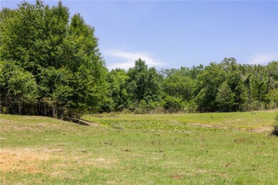 View of tree filled area