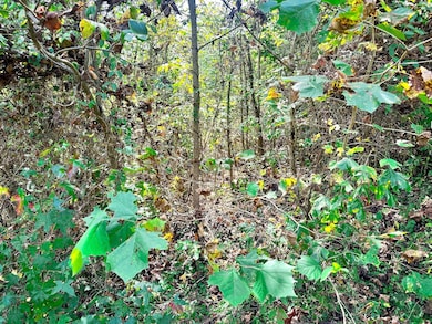 State Route 124, Pomeroy, OH 45769 - photo 4