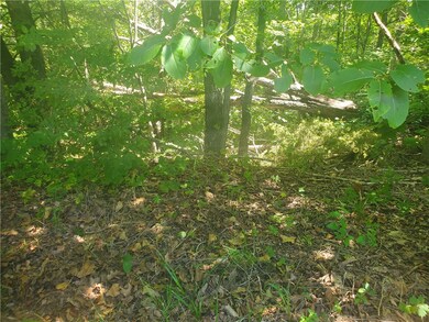 0 Netherton Ln, Bella Vista, AR 72715 - photo 3