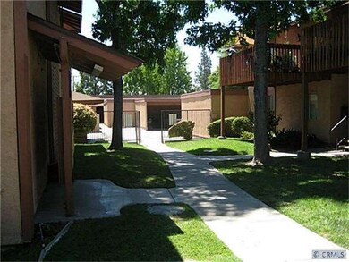 ANOTHER VIEW OF COMPLEX