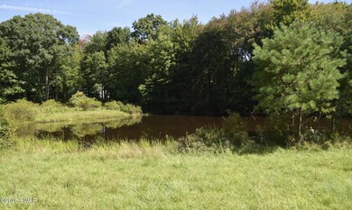 Lot 1 Friendly Acres Ln, Lackawaxen Township, PA 18428 - photo 4