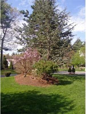 39 Charles River Dr, Franklin, MA 02038 - photo 3