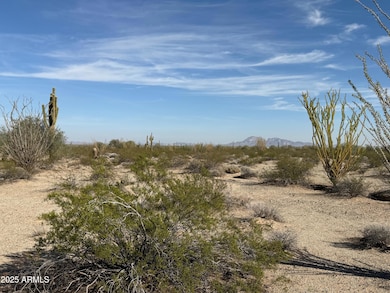 1275 557th Ave unit 128, Tonopah, AZ 85354 - photo 2