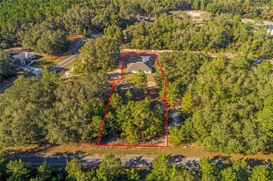 4 Fisher Trace, Ocklawaha, FL 32179 - photo 4