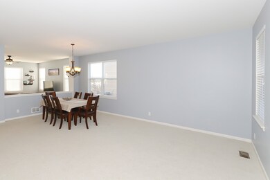 831 Tall Grass Ln, Mundelein, IL 60060 - photo 4