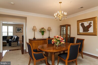 5603 Harrington Falls Ln unit T, Alexandria, VA 22312 - photo 3