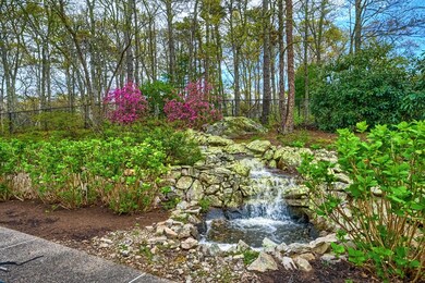 15_Backyard_IMG_6877