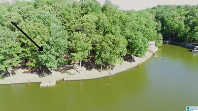 948 County Road 3292, Wedowee, AL 36278 - photo 5