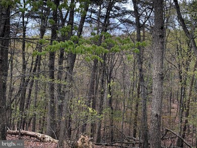 1042 Pontzer Rd, Strasburg, VA 22657 - photo 3