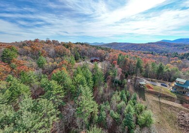 TBD Alex Way, Morganton, GA 30560 - photo 6