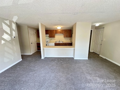 9520 Shannon Green Dr unit E, Charlotte, NC 28213 - photo 6