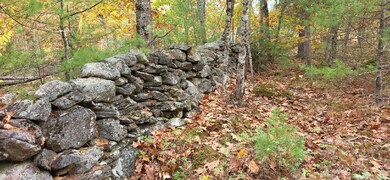 Rock walls 1