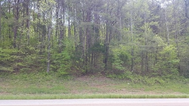 tn 28