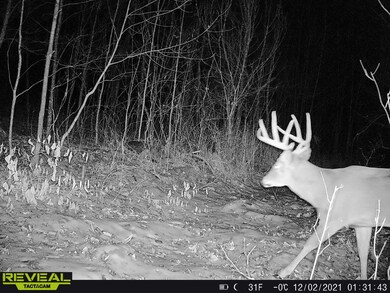 0 Beetle Creek Rd unit 22202013, Tigerton, WI 54486 - photo 4