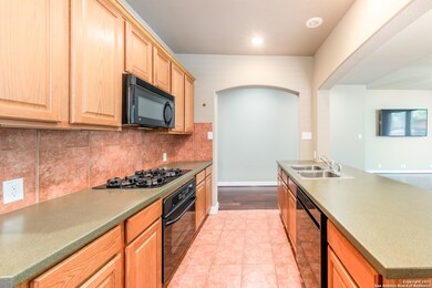 24047 Waterhole Ln, San Antonio, TX 78261 - photo 7