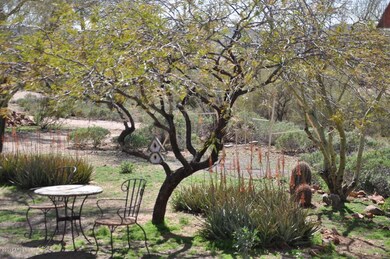 Natural Landscaping