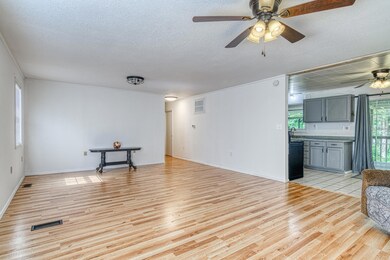23315WalnutLnShellKnobMO-13
