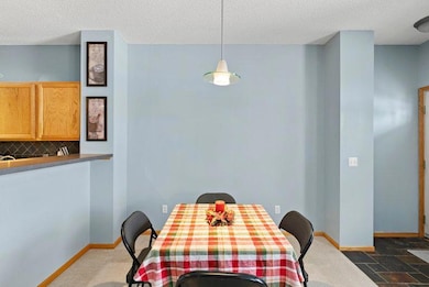 11316 Chisholm Cir NE unit C, Minneapolis, MN 55449 - photo 4