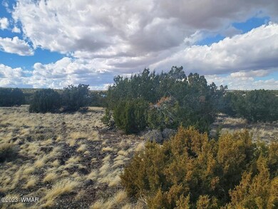 0 Cr 5166 unit 241359, Concho, AZ 85924 - photo 5