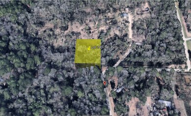 Lot 140-141 Petty Dr, Conroe, TX 77306 - photo 5
