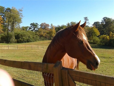 Awake to your own gorgeous creatures!