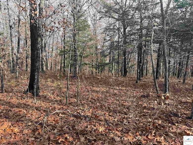 24978 Highway H, Lincoln, MO 65338 - photo 3