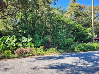 00 Atis St unit Lot9, New Port Richey East, FL 34653 - photo 2