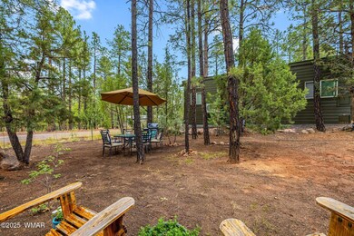 3750MuleSkinnerLoop-ShowLow-AZ-6