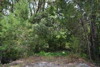 4093 Us Highway 17 S, Brunswick, GA 31523 - photo 4