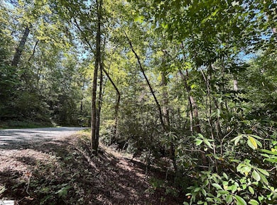 00 Whitewater Lake Rd, Tamassee, SC 29686 - photo 7