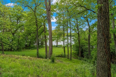 Beautiful Woods