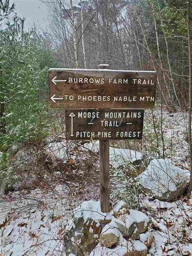 00 Hanson Rd, Brookfield, NH 03872 - photo 5